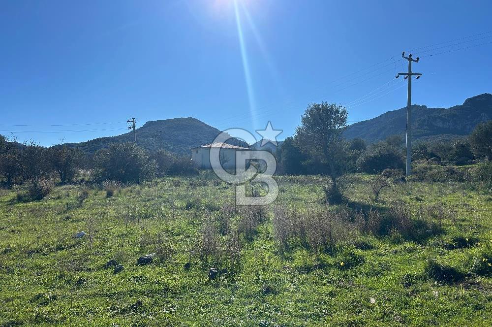 DATÇA HIZIRŞAHTA AGRO TURİZM NİTELİKLİ ARAZİ