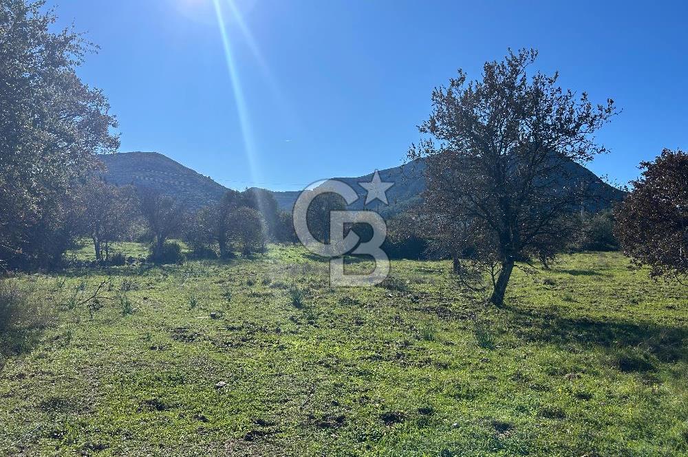 DATÇA HIZIRŞAHTA AGRO TURİZM NİTELİKLİ ARAZİ