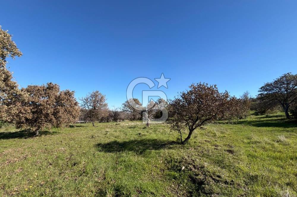 DATÇA HIZIRŞAHTA AGRO TURİZM NİTELİKLİ ARAZİ