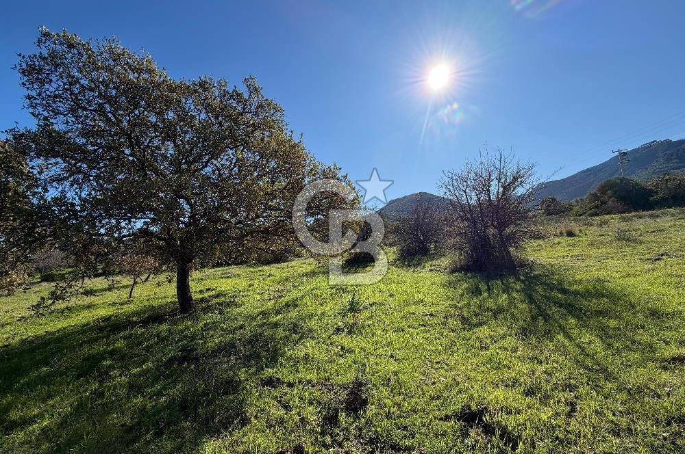 DATÇA HIZIRŞAHTA AGRO TURİZM NİTELİKLİ ARAZİ