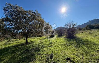 DATÇA HIZIRŞAHTA AGRO TURİZM NİTELİKLİ ARAZİ