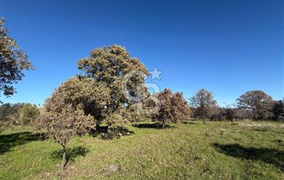 DATÇA HIZIRŞAHTA AGRO TURİZM NİTELİKLİ ARAZİ