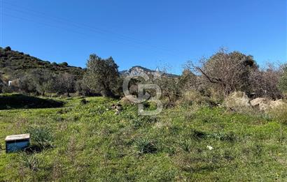 DATÇA HIZIRŞAHTA AGRO TURİZM NİTELİKLİ ARAZİ