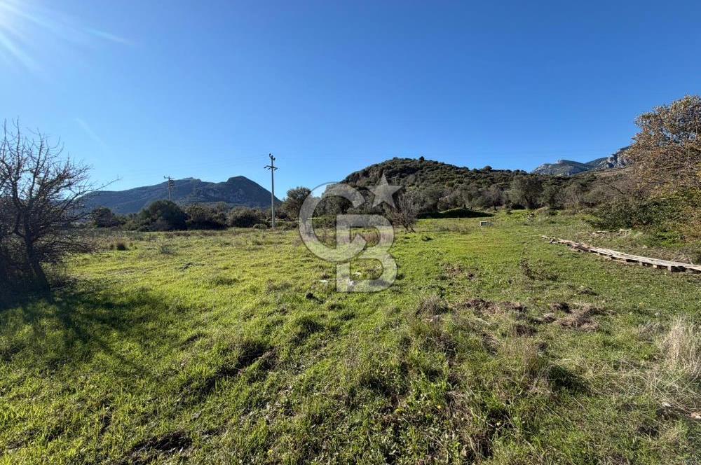 DATÇA HIZIRŞAHTA AGRO TURİZM NİTELİKLİ ARAZİ