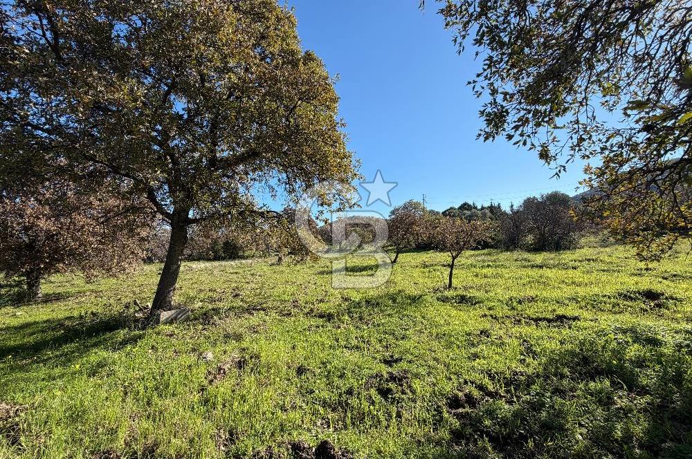 DATÇA HIZIRŞAHTA AGRO TURİZM NİTELİKLİ ARAZİ