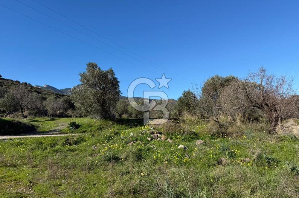 DATÇA HIZIRŞAHTA AGRO TURİZM NİTELİKLİ ARAZİ