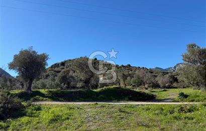 DATÇA HIZIRŞAHTA AGRO TURİZM NİTELİKLİ ARAZİ