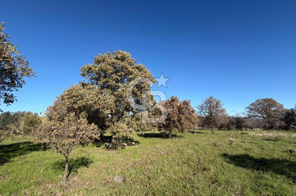 DATÇA HIZIRŞAHTA AGRO TURİZM NİTELİKLİ ARAZİ