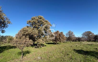 DATÇA HIZIRŞAHTA AGRO TURİZM NİTELİKLİ ARAZİ