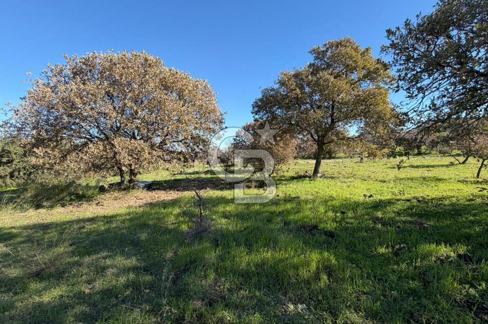 DATÇA HIZIRŞAHTA AGRO TURİZM NİTELİKLİ ARAZİ