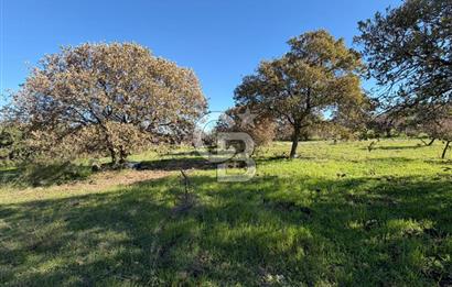 DATÇA HIZIRŞAHTA AGRO TURİZM NİTELİKLİ ARAZİ