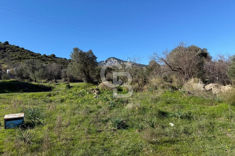 DATÇA HIZIRŞAHTA AGRO TURİZM NİTELİKLİ ARAZİ