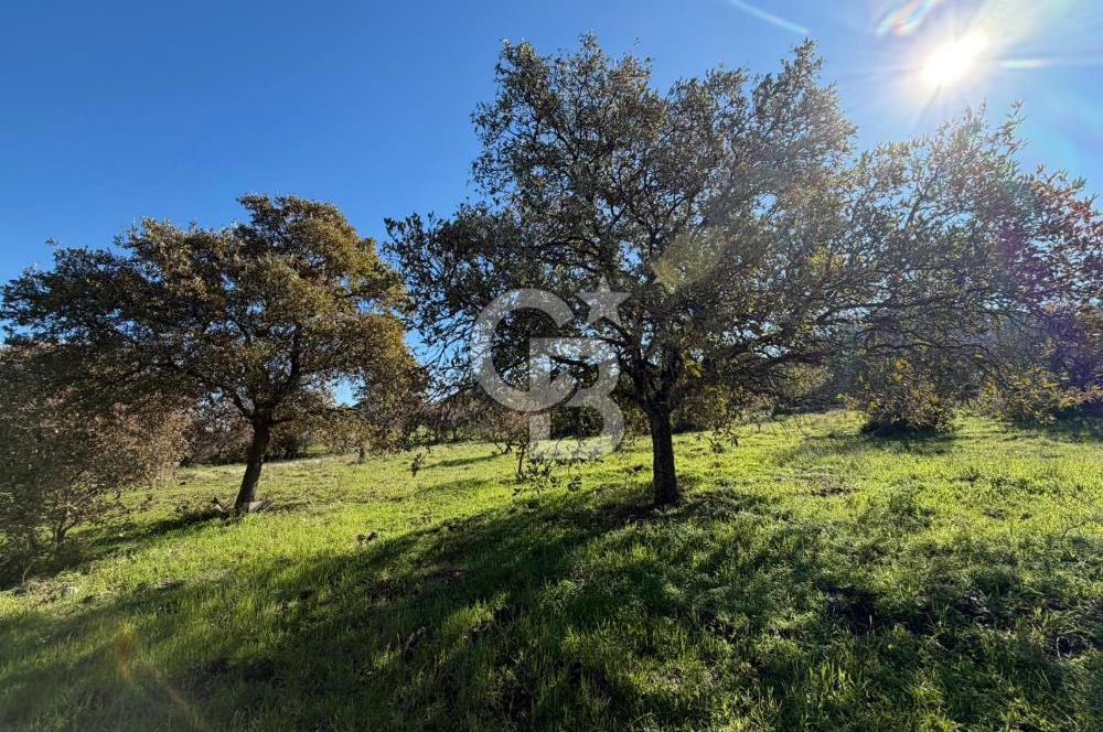 DATÇA HIZIRŞAHTA AGRO TURİZM NİTELİKLİ ARAZİ