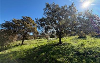 DATÇA HIZIRŞAHTA AGRO TURİZM NİTELİKLİ ARAZİ