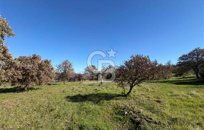 DATÇA HIZIRŞAHTA AGRO TURİZM NİTELİKLİ ARAZİ