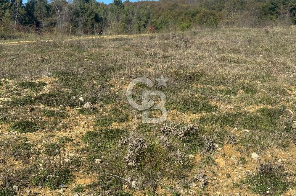 Şilede 'de Çelebi Mahallesinde Müstakil Tapulu Satılık Tarla