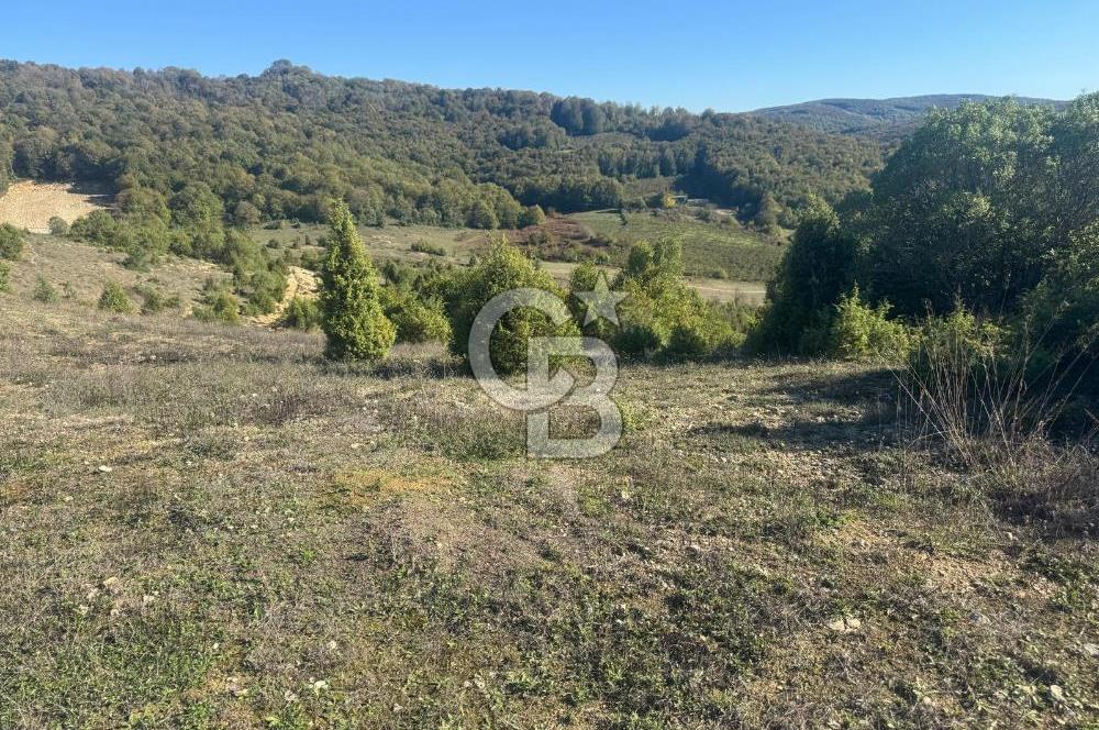 Şilede 'de Çelebi Mahallesinde Müstakil Parsel Satılık Tarla