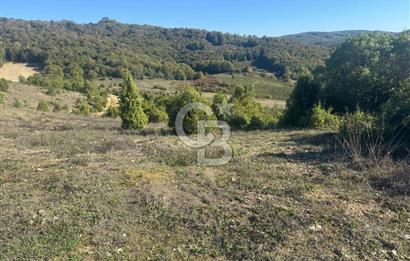 Şilede 'de Çelebi Mahallesinde Müstakil Parsel Satılık Tarla