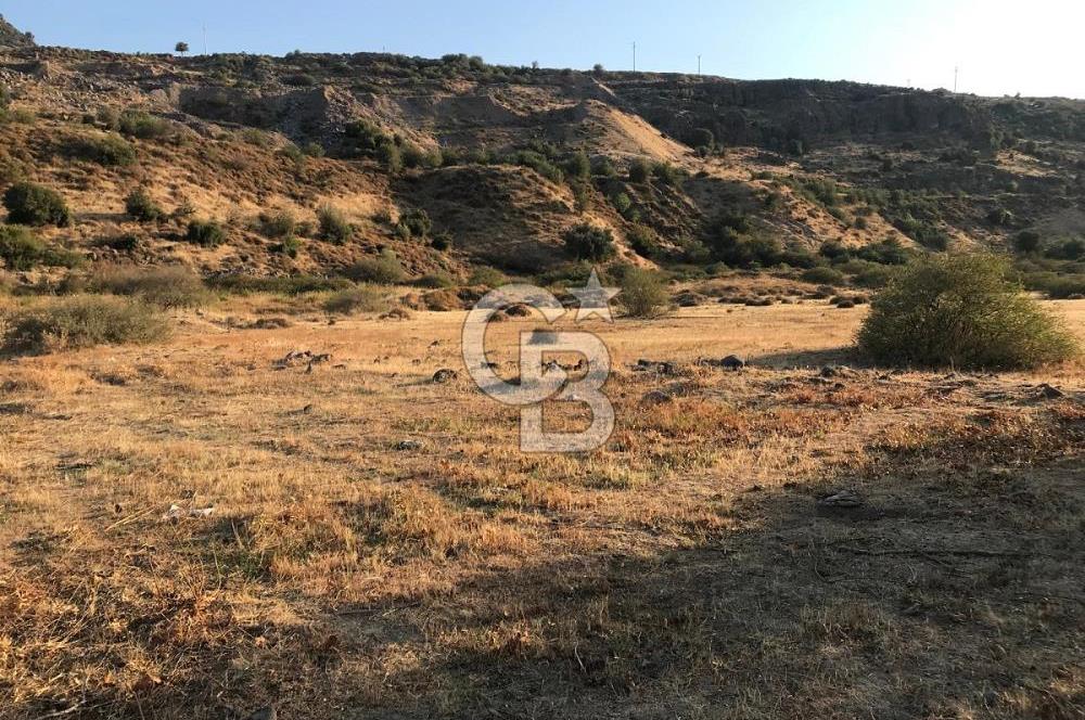 CB Odak Aliağa Karakuzu köyünde tek tapu satılık tarla