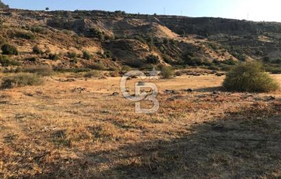 CB Odak Aliağa Karakuzu köyünde tek tapu satılık tarla