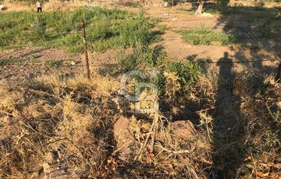 CB Odak Aliağa Karakuzu köyünde tek tapu satılık tarla