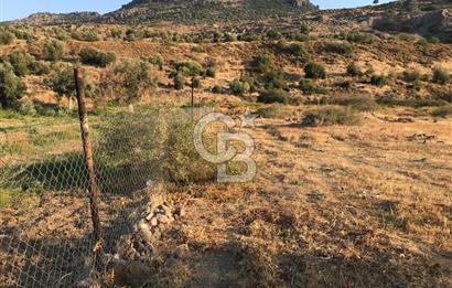 CB Odak Aliağa Karakuzu köyünde tek tapu satılık tarla