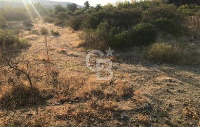 CB Odak Aliağa Karakuzu köyünde tek tapu satılık tarla