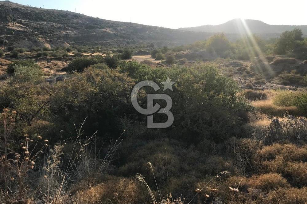 CB Odak Aliağa Karakuzu köyünde tek tapu satılık tarla