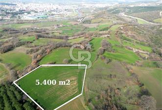 SUSURLUK KOCAPINAR’DA 5.400 M2 SATILIK TARLA - 1 - 327976