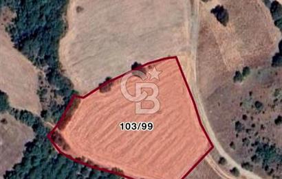 SUSURLUK KOCAPINAR’DA 5.400 M2 SATILIK TARLA