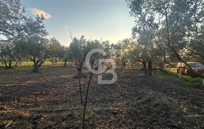 Aliağa Barbaros Hayrettin Paşa 820 m2 satılık tarla 