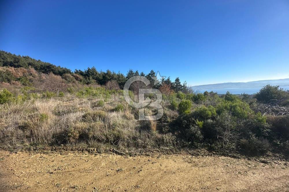 Deniz Manzaralı Tarla, Gelibolu Burhanlı'da Emsallere Göre Uygun!