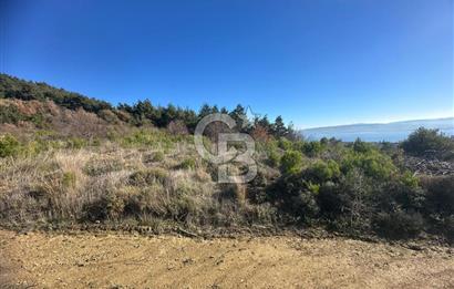 Deniz Manzaralı Tarla, Gelibolu Burhanlı'da Emsallere Göre Uygun!