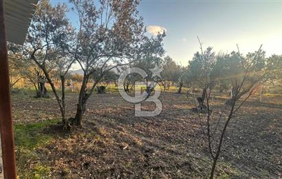 Aliağa Barbaros Hayrettin Paşa 820 m2 satılık tarla 