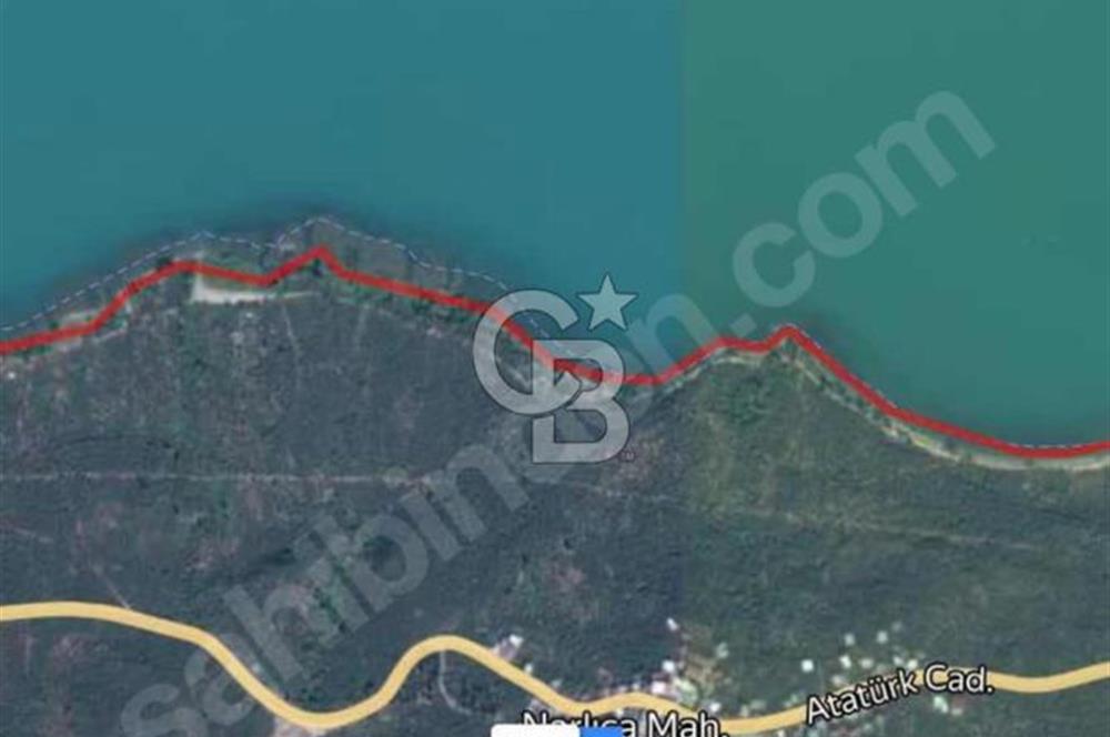 NARLICA DA İZNİK GÖLÜ MANZARALI ZEYTİNLİK 