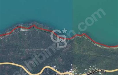 NARLICA DA İZNİK GÖLÜ MANZARALI ZEYTİNLİK 