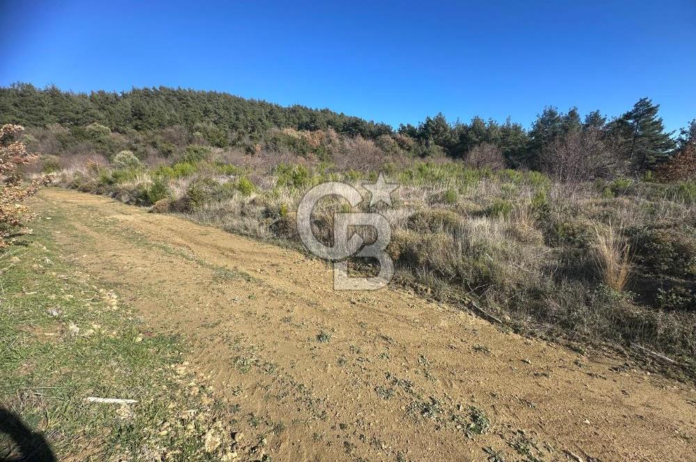 Deniz Manzaralı Tarla, Gelibolu Burhanlı'da Emsallere Göre Uygun!