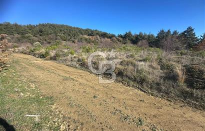 Deniz Manzaralı Tarla, Gelibolu Burhanlı'da Emsallere Göre Uygun!