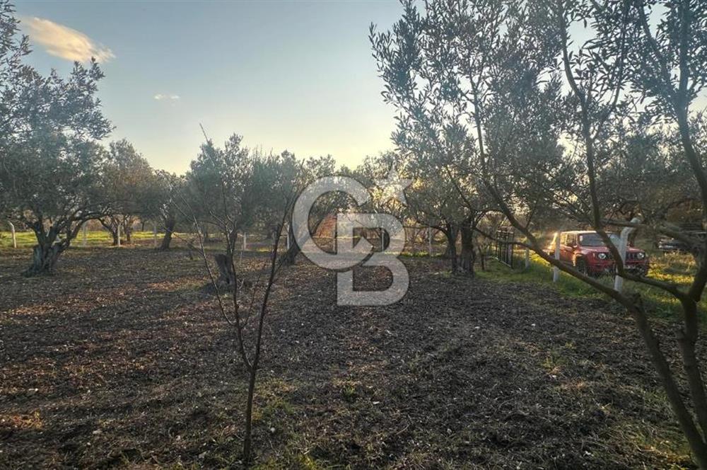 Aliağa Barbaros Hayrettin Paşa 820 m2 satılık tarla 