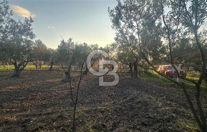 Aliağa Barbaros Hayrettin Paşa 820 m2 satılık tarla 