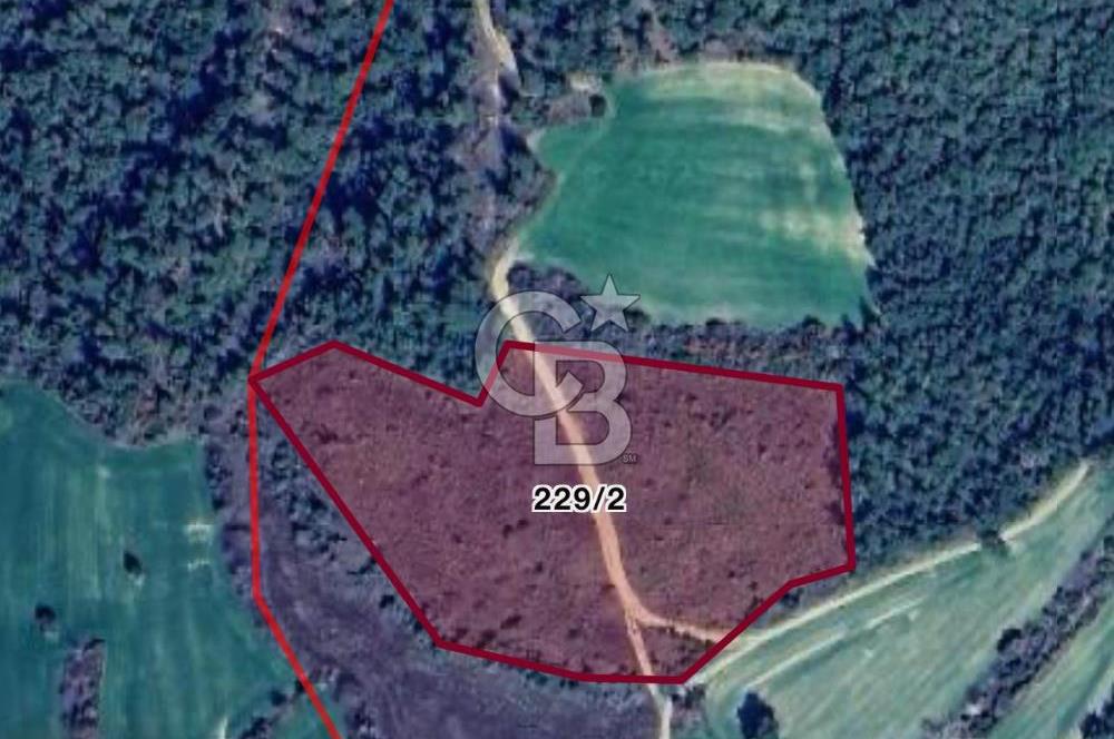 Deniz Manzaralı Tarla, Gelibolu Burhanlı'da Emsallere Göre Uygun!