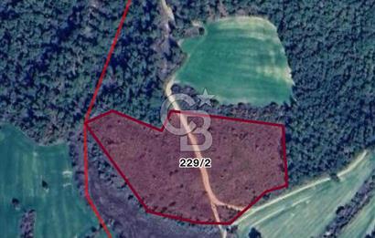 Deniz Manzaralı Tarla, Gelibolu Burhanlı'da Emsallere Göre Uygun!