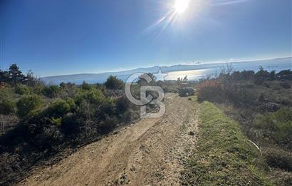 Deniz Manzaralı Tarla, Gelibolu Burhanlı'da Emsallere Göre Uygun!