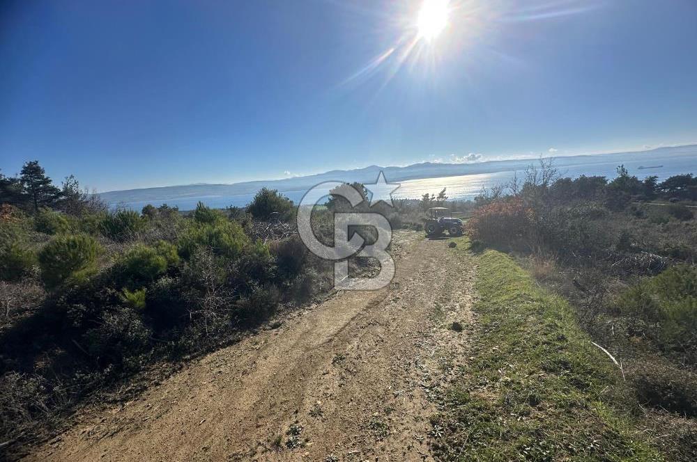 Deniz Manzaralı Tarla, Gelibolu Burhanlı'da Emsallere Göre Uygun!
