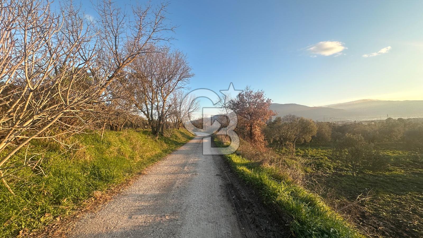 Aliağa Barbaros Hayrettin Paşa 1450 m2 satılık tarla