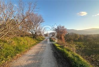 Aliağa Barbaros Hayrettin Paşa 1450 m2 satılık tarla - 1 - 327993