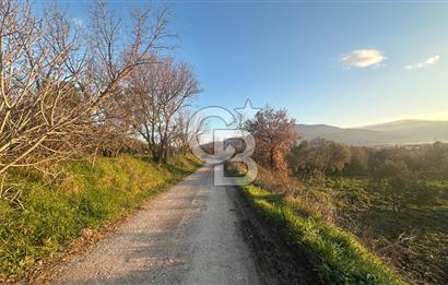 Aliağa Barbaros Hayrettin Paşa 1450 m2 satılık tarla