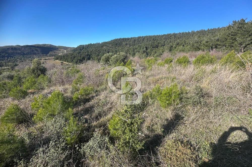 Deniz Manzaralı Tarla, Gelibolu Burhanlı'da Emsallere Göre Uygun!