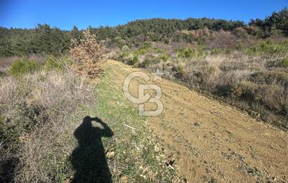Deniz Manzaralı Tarla, Gelibolu Burhanlı'da Emsallere Göre Uygun!