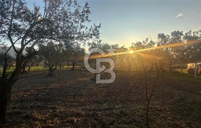 Aliağa Barbaros Hayrettin Paşa 820 m2 satılık tarla 